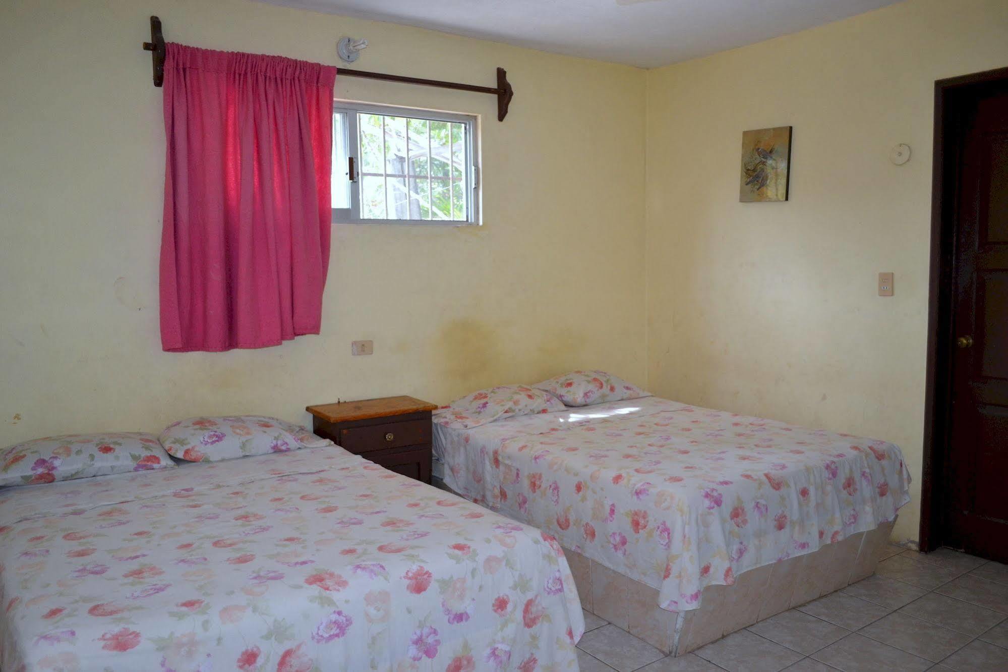 Hotel Edem